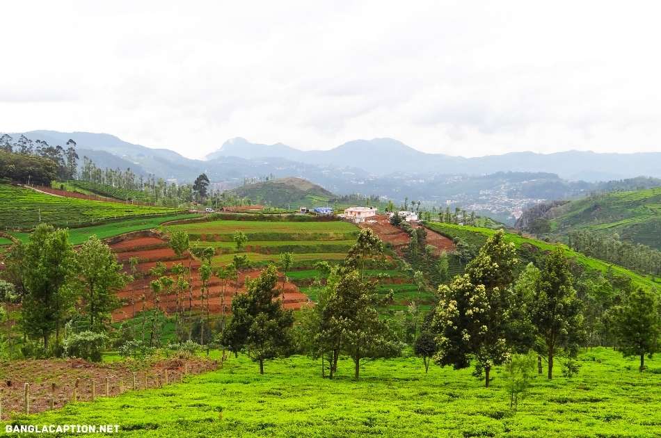 Ooty Captions For Instagram For Girl