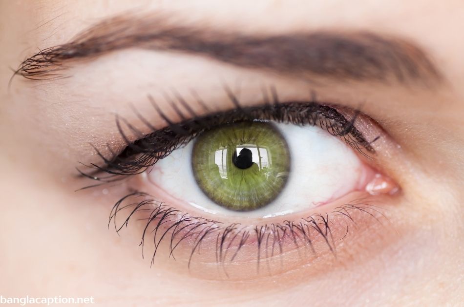 Beautiful Quotes About Eyes