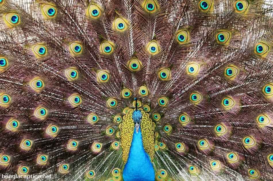Creative Zoo Captions For Instagram