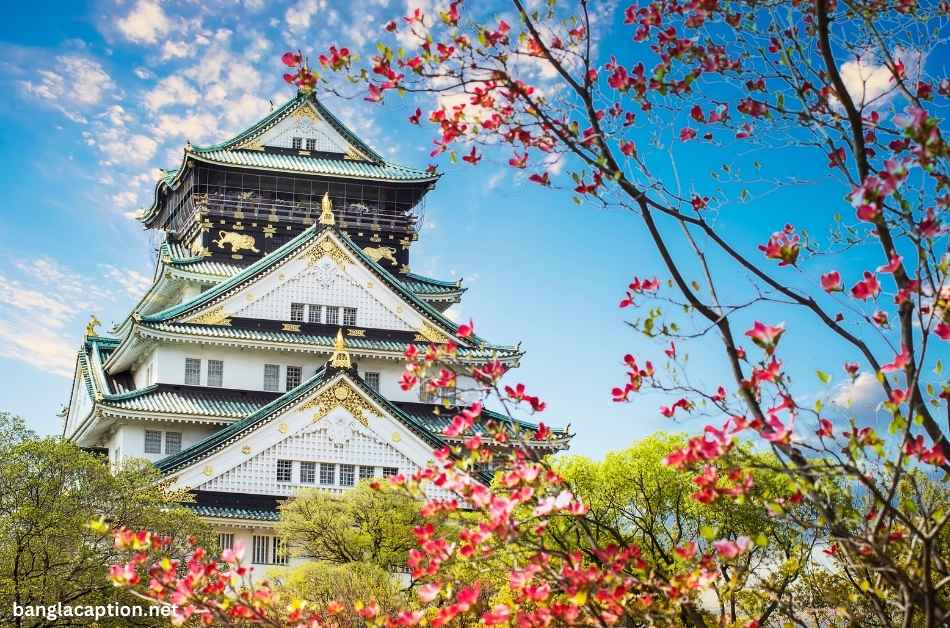 Funny Castle Captions For Instagram