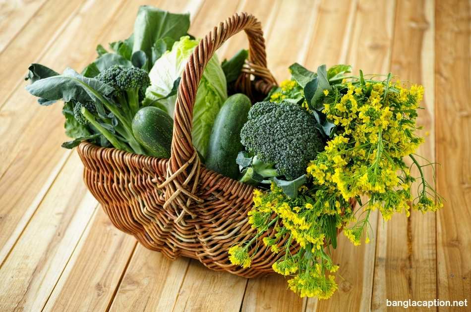 Green Vegetable Captions For Instagram