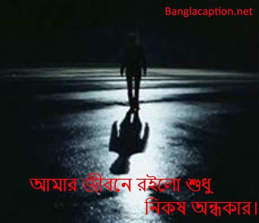 আমার জীবনে রইলো শুধু নিকষ অন্ধকার।