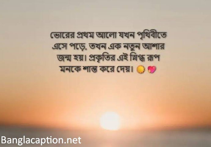 শোকরানা ও নতুন ভোর